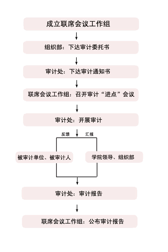 经济责任审计工作程序