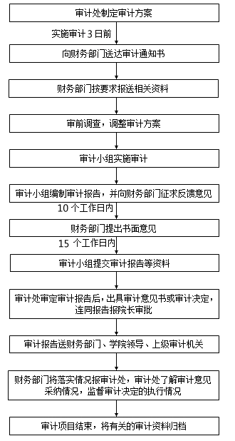 财务预算执行情况和财务决算的审计程序